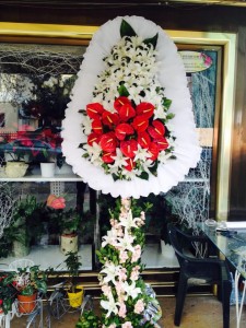 1004890_3689763339730_1616345623_n