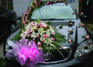 1014343_10151722745174628_1350460610_n (1)