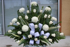 10527547_10203514490556620_5340690776167987338_n