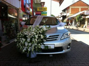 1185797_659711424053562_1395546865_n