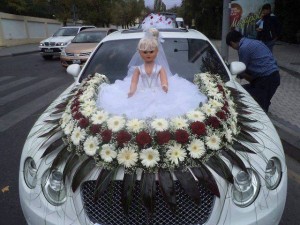 1209081_659707910720580_1005032195_n