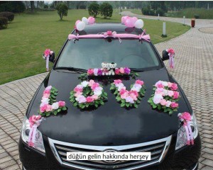 1422456_10152091150384628_857333903_n