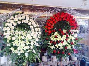 1526377_3728255702015_1199695577_n