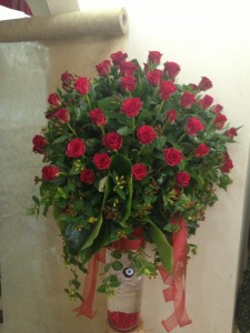 382492_3164225001600_1056677644_n