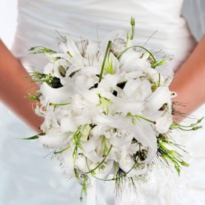 551377_498090406903335_777694483_n