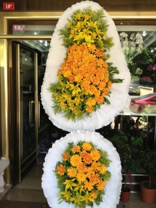 7500_3106865607651_354977201_n