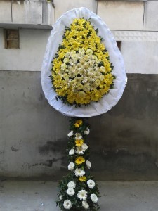 944274_10151531240038956_1655029720_n