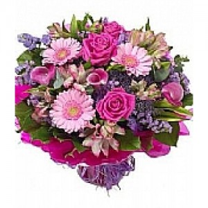 BE13583_22944338618487726150-500x500