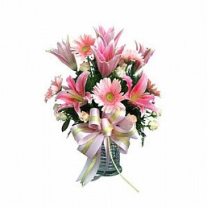 Z51D7ZD_pembelilyumlar